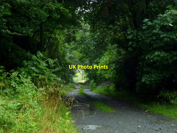 Photo 6"x4" Track to White Dyke Barrachan\/NX3649 c2013