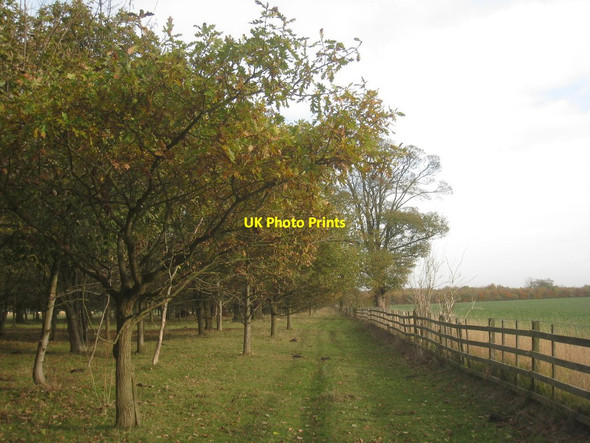 Photo 6"x4" Footpath alongside Fillingham Park Fillingham c2013