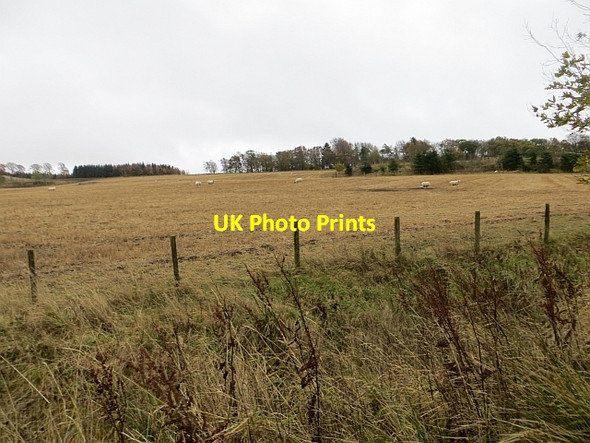 Photo 6"x4" Peat Hill Drum\/NO0400 c2013