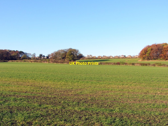 Photo 6"x4" Fields south of Hexham Road, Throckley Ryton\/NZ1564 c2013