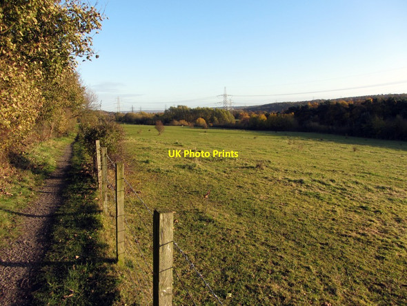 Photo 6"x4" Path in Tyne Riverside Country Park Ryton\/NZ1564 c2013