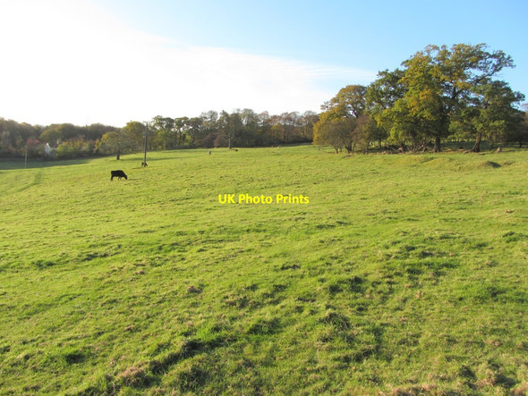 Photo 6"x4" Pasture below Heddon Hall Ryton\/NZ1564 c2013