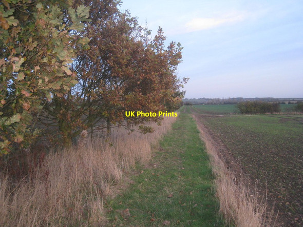 Photo 6"x4" Footpath to Ingham Coates\/SK9183 c2013