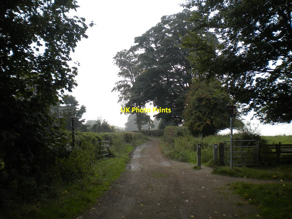Photo 6"x4" Strelley Lane near Strelley village Strelley c2013