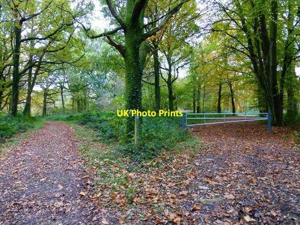 Photo 6"x4" Track junction in Woodbarn Stoughton\/SU8011 c2013