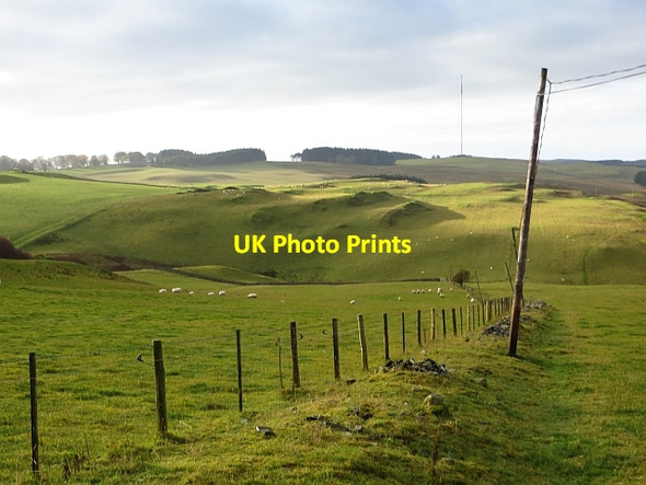 Photo 6"x4" Ruined dyke, Whitmuir Selkirk c2013