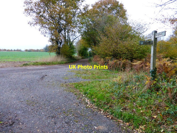Photo 6"x4" Bridleway and footpath junction at Lyecommon West Marden c2013