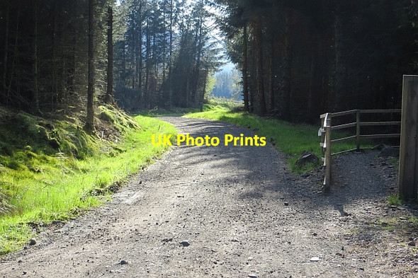 Photo 6"x4" Logging road, Carron Valley Forest High Banton c2013