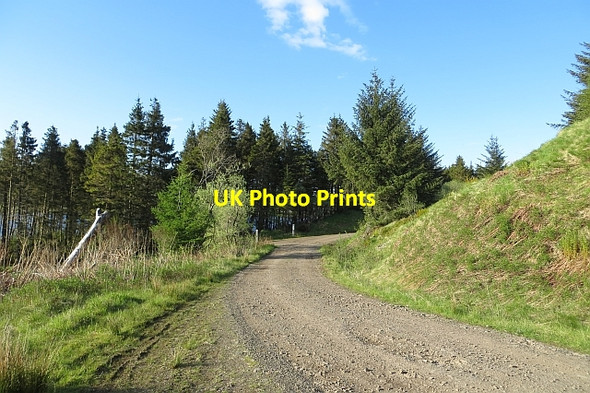Photo 6"x4" Logging roads, Carron Valley Forest Cock Hill\/NS7182 c2013