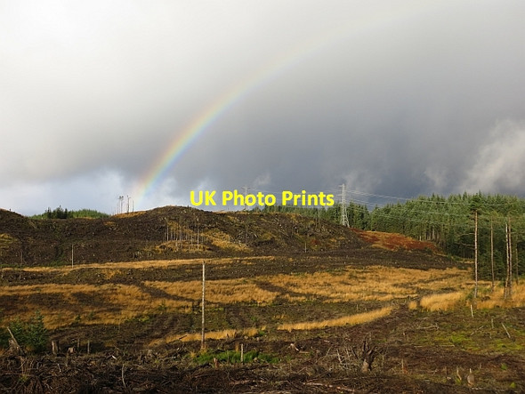 Photo 6"x4" Clear fell, Loch Ard Forest Lime Hill c2013