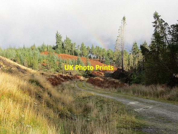 Photo 6"x4" Road, Loch Ard Forest Lime Hill c2013