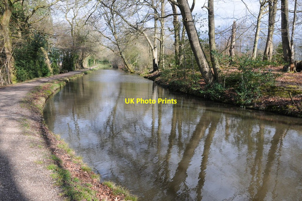 Photo 6"x4" The Monmouthshire and Brecon Canal near Gafr-llwyd Pencroesoped c2013