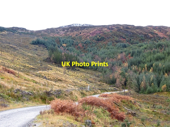 Photo 6"x4" Loch Ard Forest Maol an Iaruinn c2013