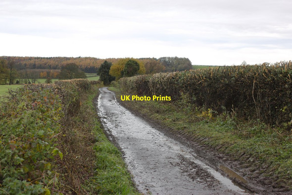 Photo 6"x4" Shaw Lane Farnham\/SE3460 c2013