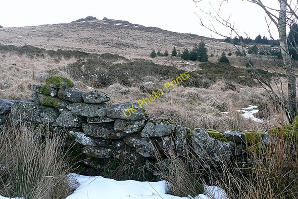 Photo 6"x4" Towards Bellever Tor Bellever c2009
