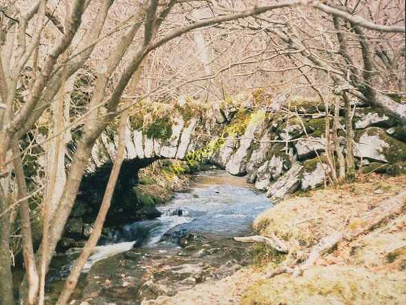 Photo 6"x4" Footbridge over Crook Gill Hubberholme c1986