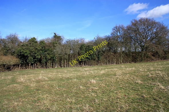 Photo 6"x4" Railway Embankment Gilver's Lane c2009