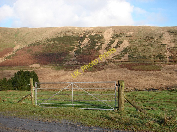 Photo 6"x4" Farm gate at Llidiart Coch Pont Rhydgaled c2006