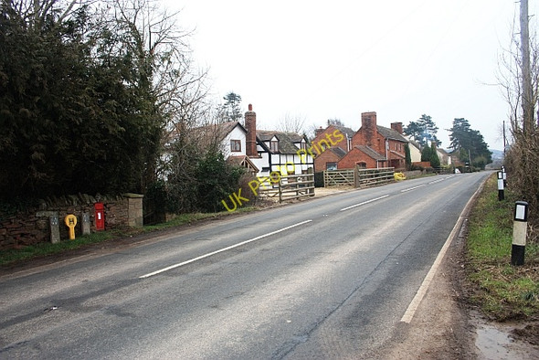 Photo 6"x4" Houses in Staplow Staplow c2009