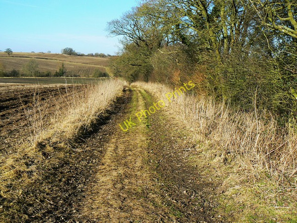 Photo 6"x4" Bridleway towards Oak Bed, near Compton Bassett Calne c2009