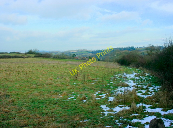 Photo 6"x4" 2009 : Pasture off the A37 Breach\/ST6260 c2009