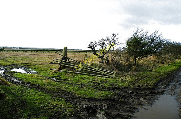 Photo 6"x4" Near Mains of Knockhall Newburgh\/NJ9925 c2009