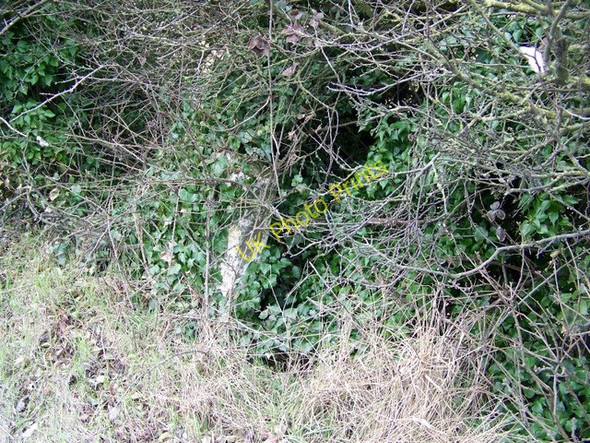 Photo 6"x4" Milestone, A354 Thornicombe c2009