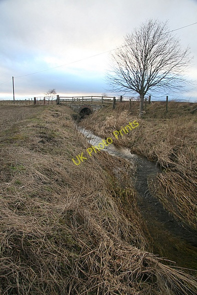 Photo 6"x4" Black Burn near Over Bow farm Padanaram c2009