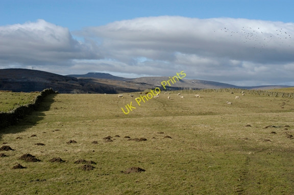 Photo 6"x4" Studfold Low Pasture Studfold\/SD8170 c2009