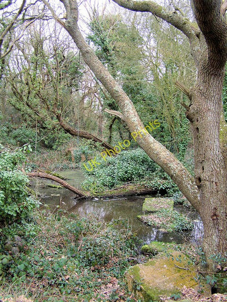Photo 6"x4" Cooden Moat near Bexhill Cooden c2009
