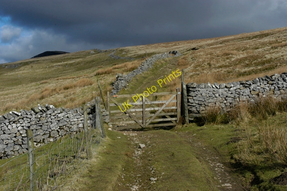 Photo 6"x4" Fellside gate, Long Lane Studfold\/SD8170 c2009