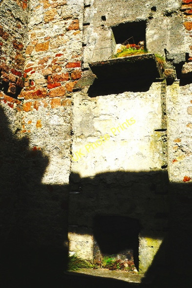 Photo 6"x4" Bunbeg Harbour Road - Interior of derelict house Bunbeg c2005 P1