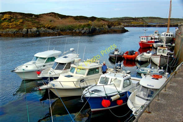 Photo 6"x4" Bunbeg Harbour Carrickfin c2008