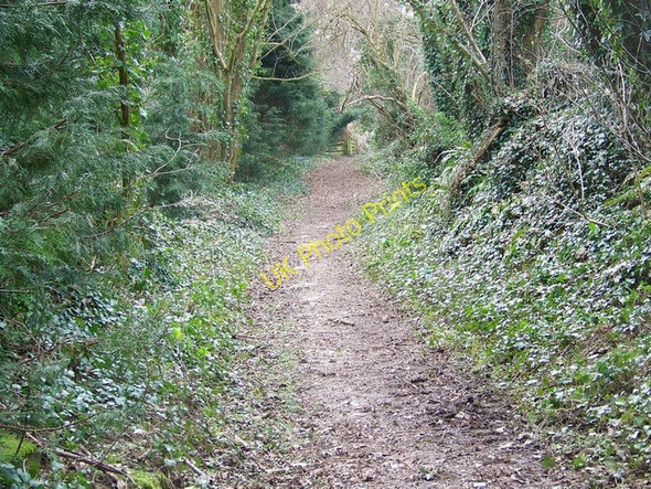 Photo 6"x4" Bridleway, Athelhampton Athelhampton c2009 P1