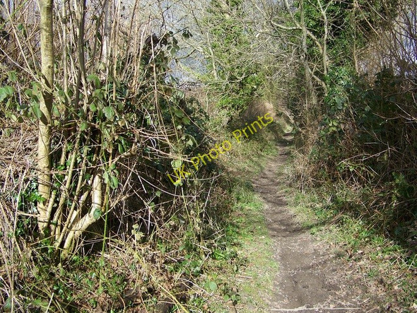 Photo 6"x4" Bridleway to Athelhampton Athelhampton c2009