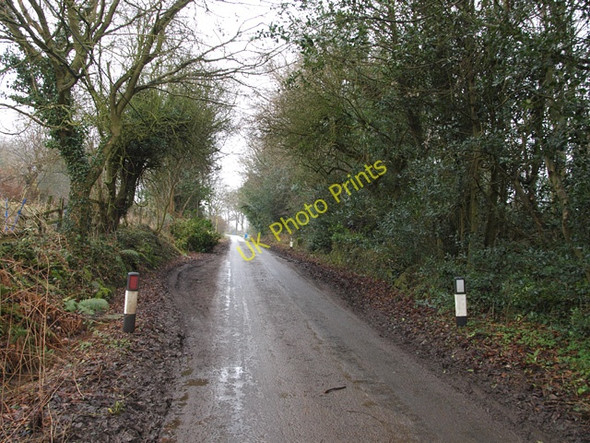 Photo 6"x4" Egton Road Aislaby\/NZ8508 c2009