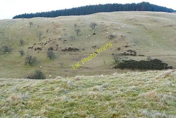 Photo 6"x4" Below Dixie's Corner Llandeilo'r-Fan c2009