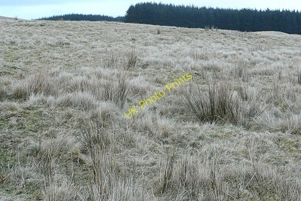 Photo 6"x4" On Mynydd Bwlch-y-Groes Babel c2009