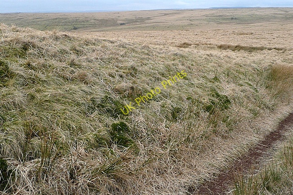 Photo 6"x4" Above Blaentalar Cae Garw c2009