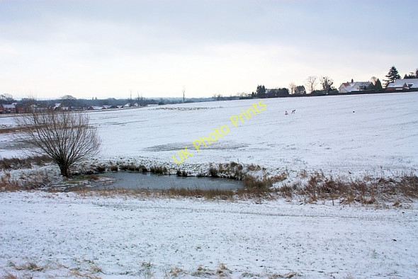 Photo 6"x4" Pond on Malvern Common Great Malvern c2009