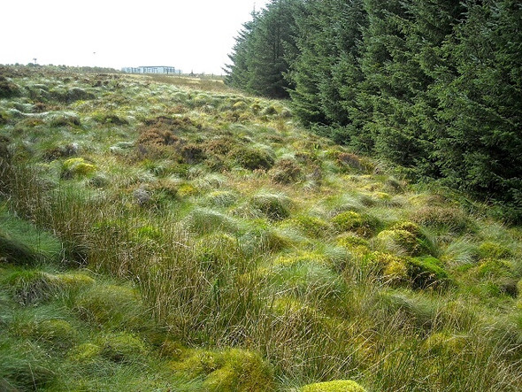 Photo 6"x4" Myers Hill Dumdruff Hill c2008