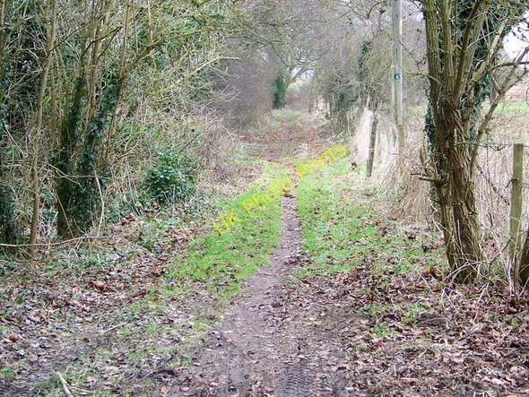 Photo 6"x4" Bridleway to Lower Woodford Little Durnford c2009