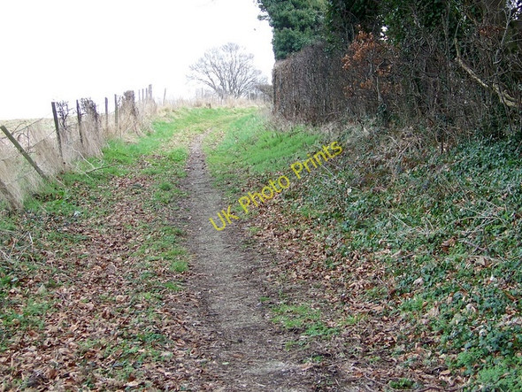 Photo 6"x4" Bridleway to Winterbourne Earls Little Durnford c2009