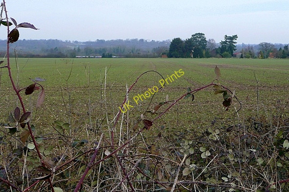 Photo 6"x4" Fields south of Enborne Road Newbury\/SU4767 c2009