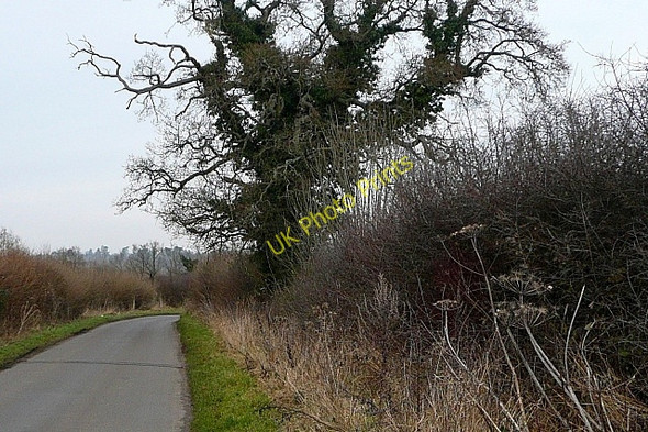 Photo 6"x4" Lane north of Skinner's Green Skinners Green c2009