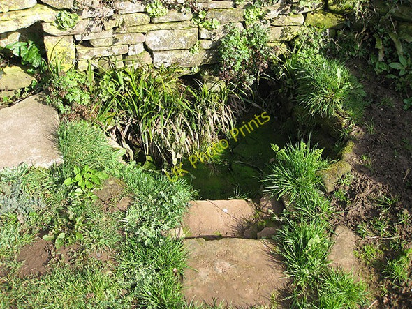 Photo 6"x4" Holy Well, Garway Garway c2009