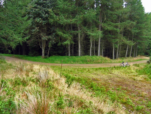 Photo 6"x4" Fetteresso Forest Elf Hill c2008