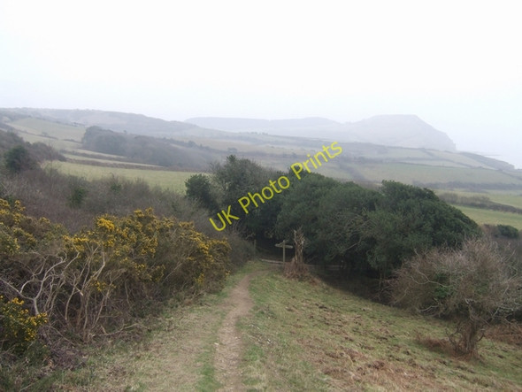 Photo 6"x4" Stonebarrow Hill Catherston Leweston c2009