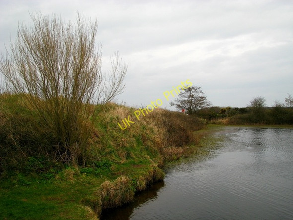 Photo 6"x4" Glastry Nature Reserve Ballyhalbert c2009