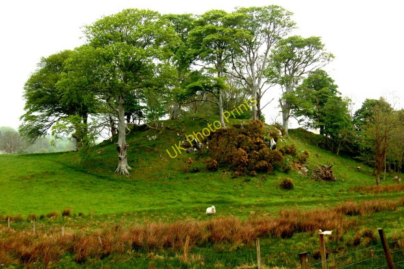 Photo 6"x4" Road from Capuchin Friary just south of Ard's Forest Creeslough c2008